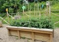 Public Service Profile: Corner Cupboard Food Bank Community Garden