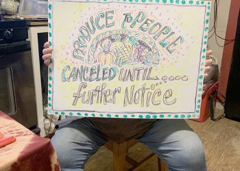 Meet the Team: Colleen Nelson