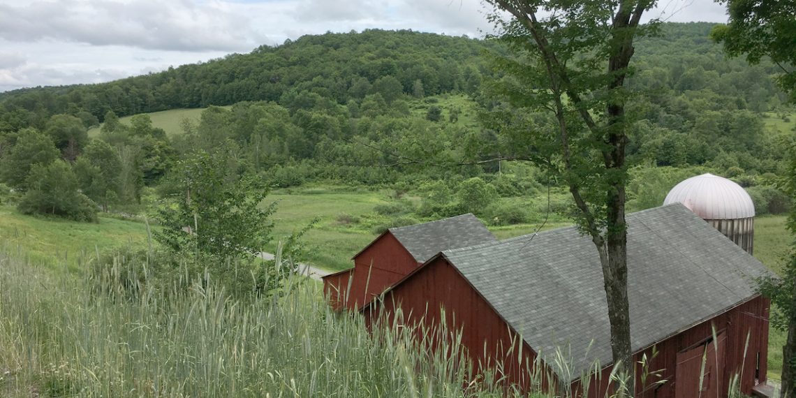 Public Service Profile: Greene County Farm Bureau