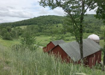 Public Service Profile: Greene County Farm Bureau