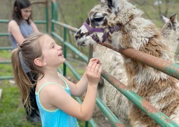 Family Fun on the Farm