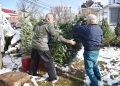 Oh Christmas Tree!