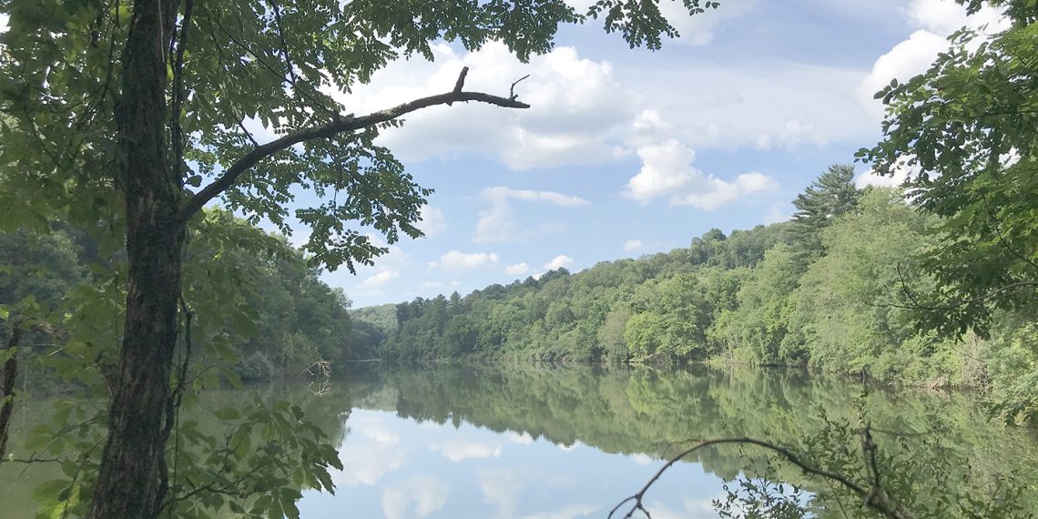 Getting Better in Greene: Wisecarver Recreation Area Update