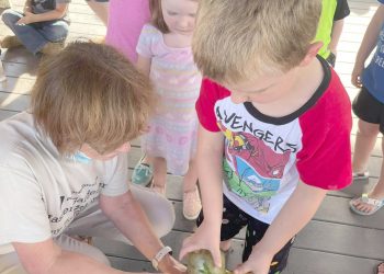 Cool at School: Tails & Tales Summer Reading Quest