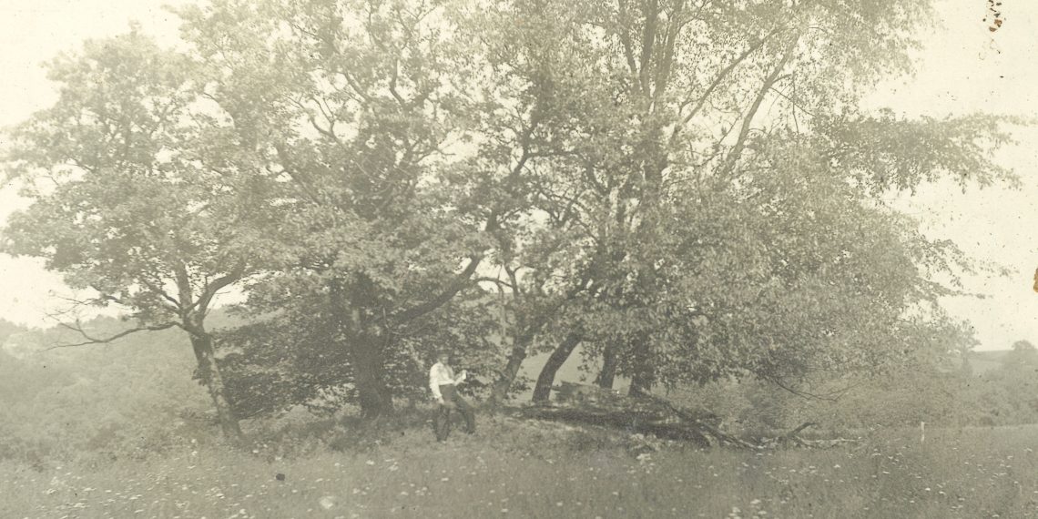 Going Greene: Mounds in Greene County