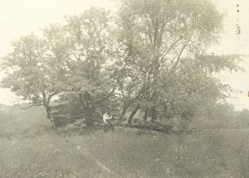 Going Greene: Mounds in Greene County