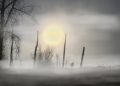 Searching for Bigfoot