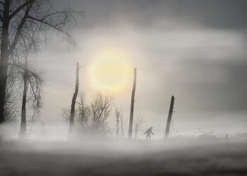 Searching for Bigfoot