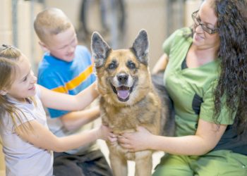 Local Rescue Organizations Make a Real Difference