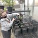 Cool at School: Carmichaels’ Greenhouse Projects