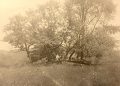 Going Greene: Greene Works! The Works Progress Administration