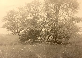 Going Greene: Greene Works! The Works Progress Administration