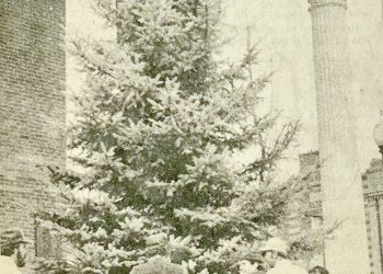GreeneScene of the Past: Oh Christmas Tree!