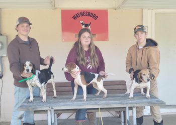 Working Like A Dog: Waynesburg Beagle Club