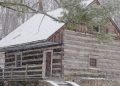 Going Greene: A Story From the Settlement
