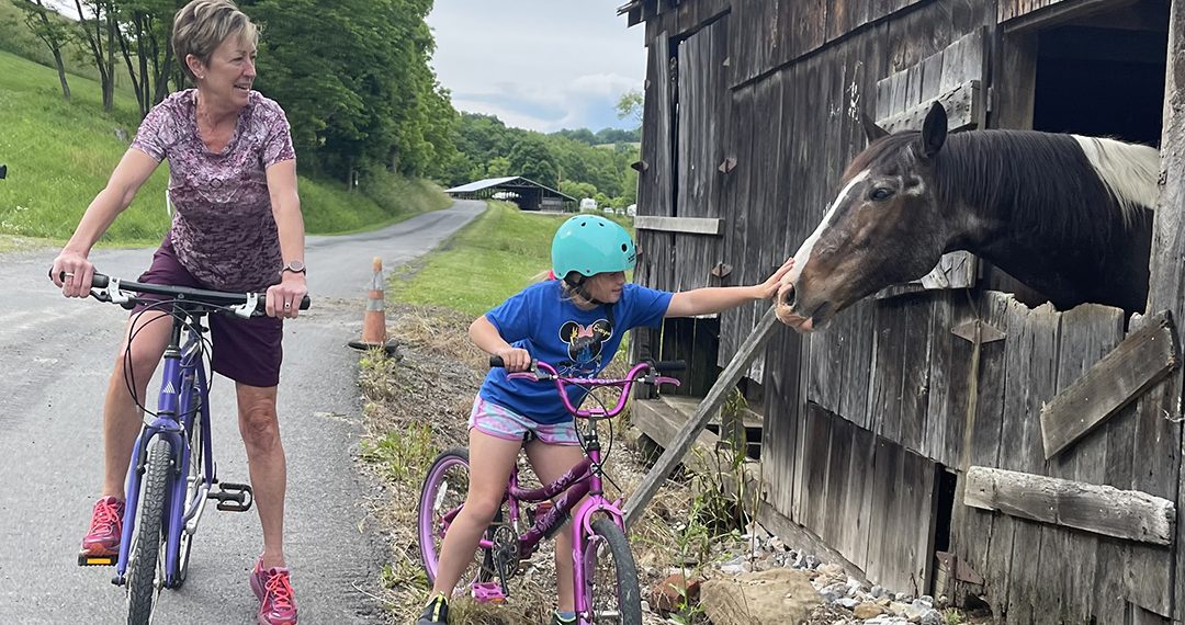 Shining the Light: Mt. Pleasant Methodist Church