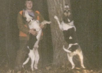 Going Greene: Wild and Wonderful Greene