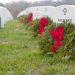 Wreaths Across America 2022