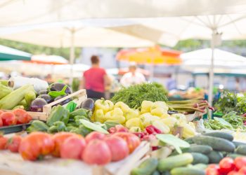 Summer Marketplace Supports Greene County Small Businesses