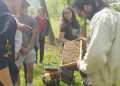 Cool at School: Beekeeping at Jefferson Morgan