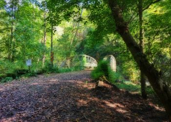 Greene Artifacts: Sanborn Fire Insurance Maps & Caldwells Atlas Business Directory