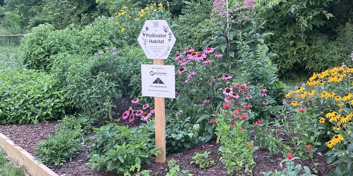 Cool at School: Southeastern Greene School District – Native Plant Garden