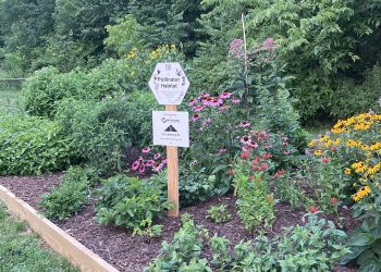 Cool at School: Southeastern Greene School District – Native Plant Garden