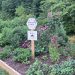 Cool at School: Southeastern Greene School District – Native Plant Garden