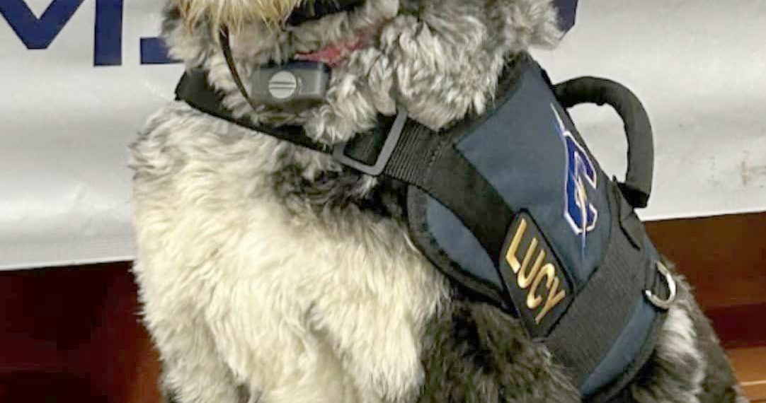 Cool at School: Carmichaels’ Newest Library Addition