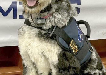 Cool at School: Carmichaels’ Newest Library Addition