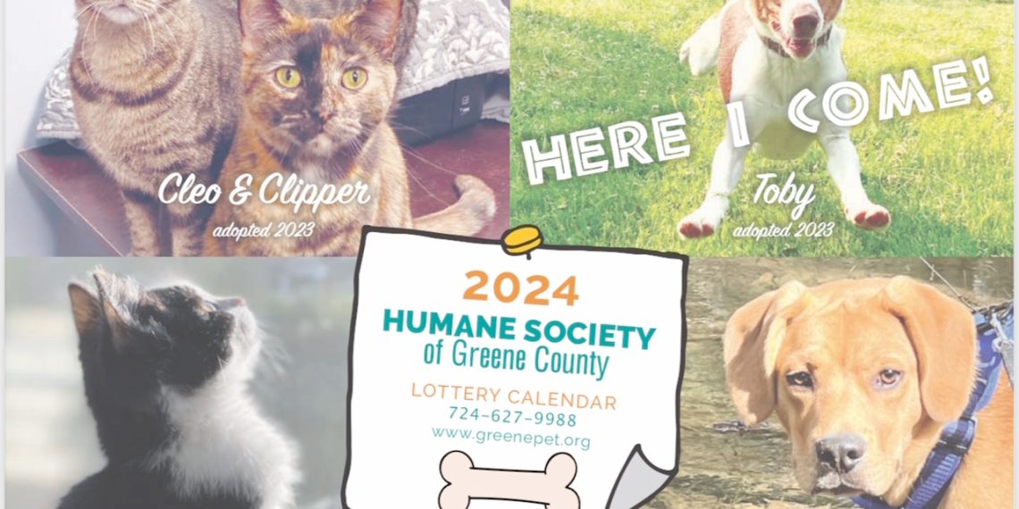 Helping Homeless Pets During the Holidays