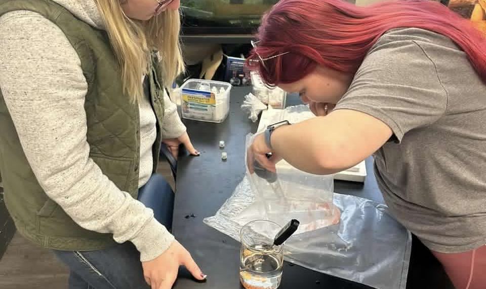 Cool at School: Southeastern Greene School District – Trout in the Classroom