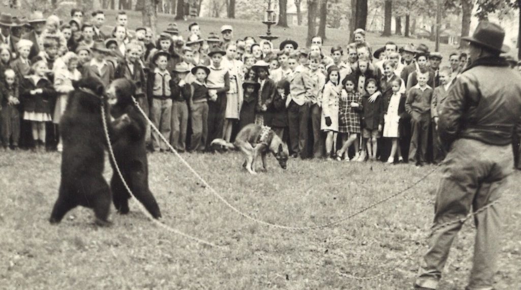 Going Greene: A Circus Mystery