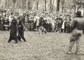 Going Greene: A Circus Mystery