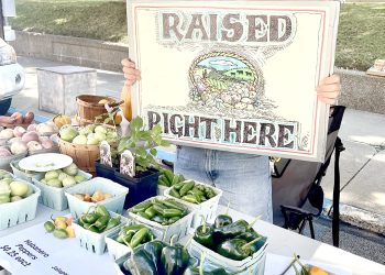 Out and About During a Greene Spring:  Enlow Fork & the 3rd PA Bird Atlas