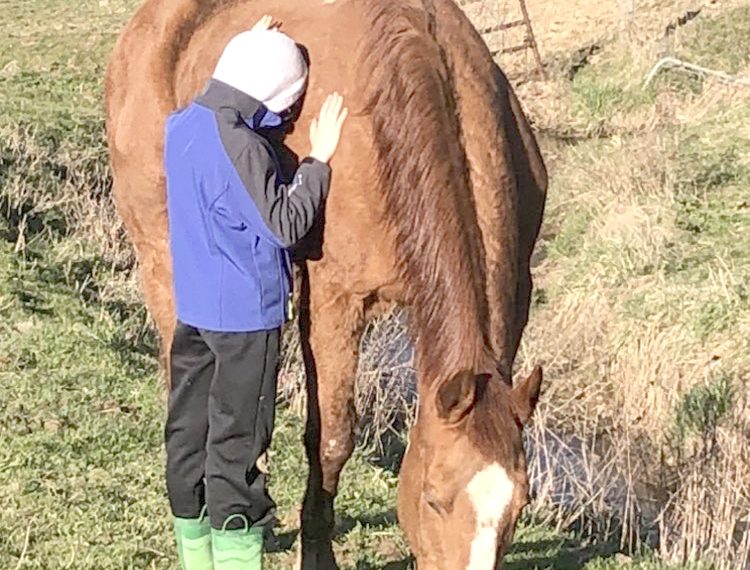 Out and About During a Greene Spring:  Enlow Fork & the 3rd PA Bird Atlas