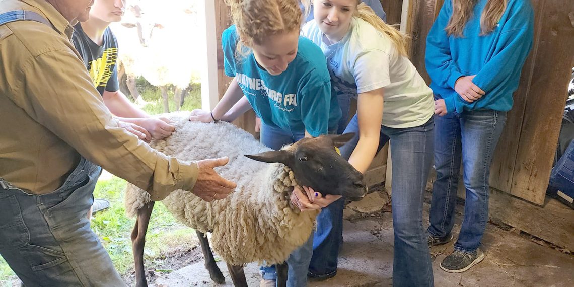 Cool at School: Central Greene School District’s FFA Program