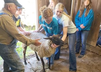 Cool at School: Central Greene School District’s FFA Program
