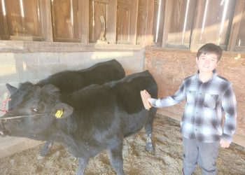 Steered in the Right Direction