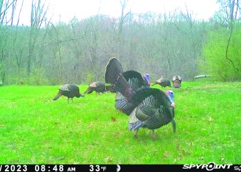 I Am Ready for Turkey Enjoying Season