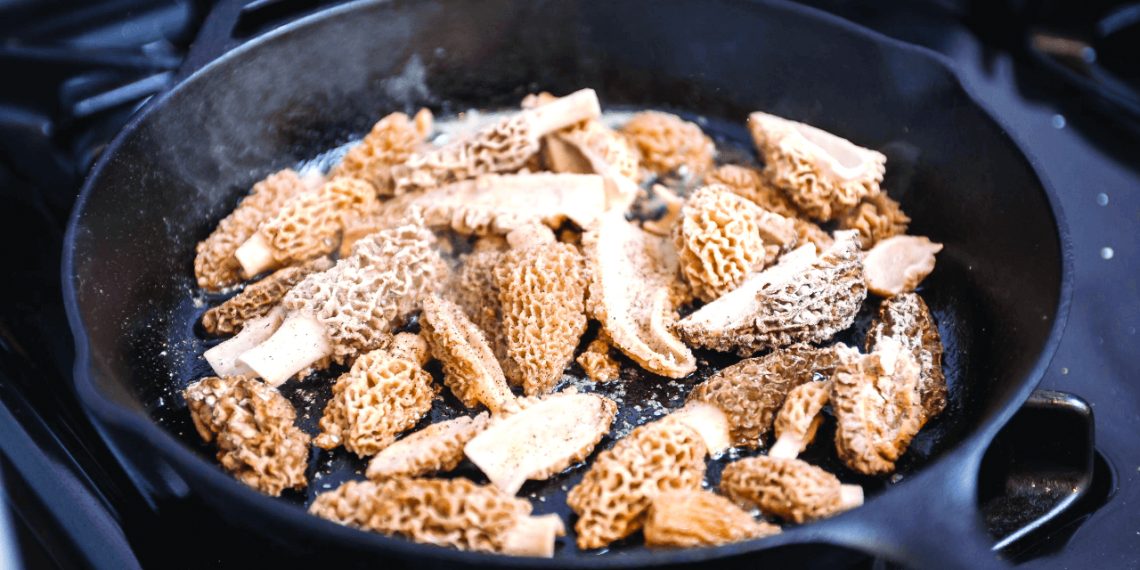 It’s Time for Morels