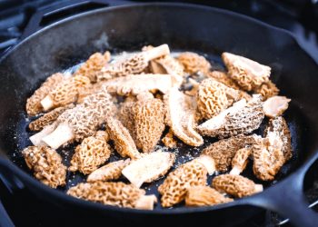 It’s Time for Morels