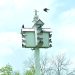 Purple Martins Return to the Area