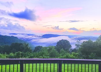 Executive Insights with Dolly Throckmorton