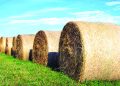 HAY…HAY…HAY