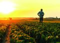 A Salute to Farmers