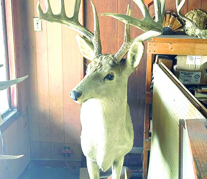 In the Out Door: The Top 5 Pennsylvania Whitetails with a Bow and Rifle