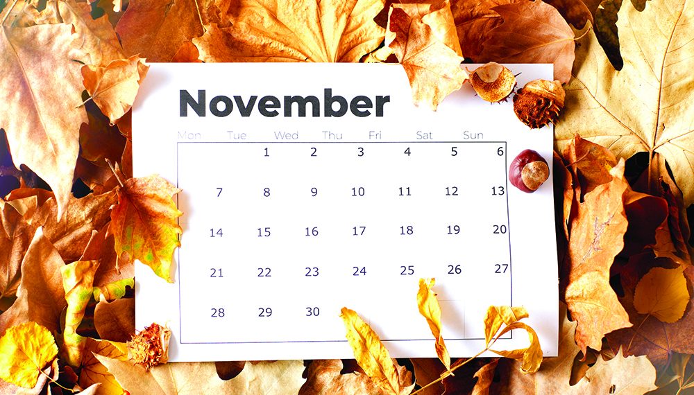 Poor November: The Forgotten Month
