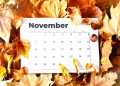 Poor November: The Forgotten Month