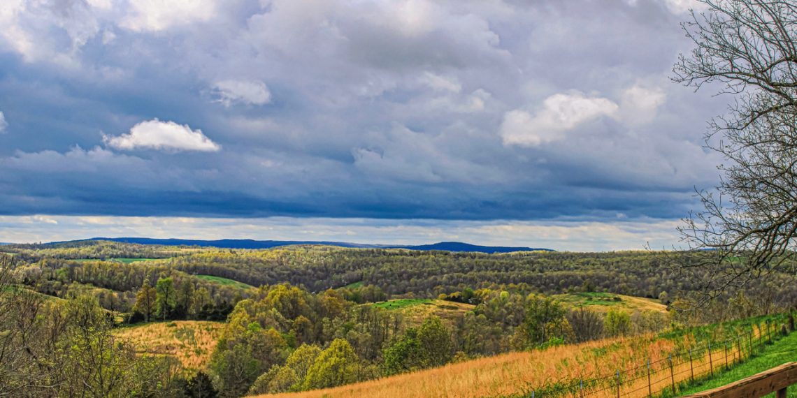 Towne Square: Vision for Green in Greene